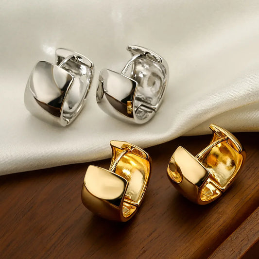 Chunky Hoops Earrings - Stainless Steel