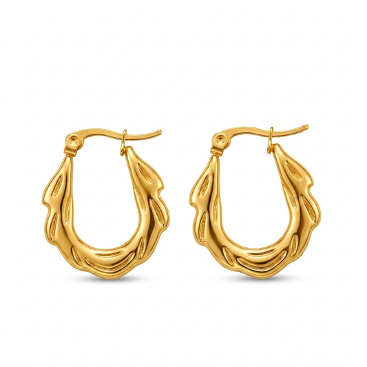 Grumpy Hoops Earrings - Stainless Steel